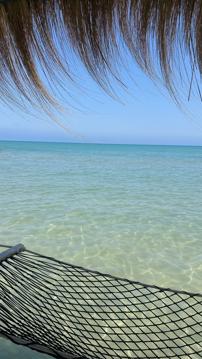 hessouloulou tweet media