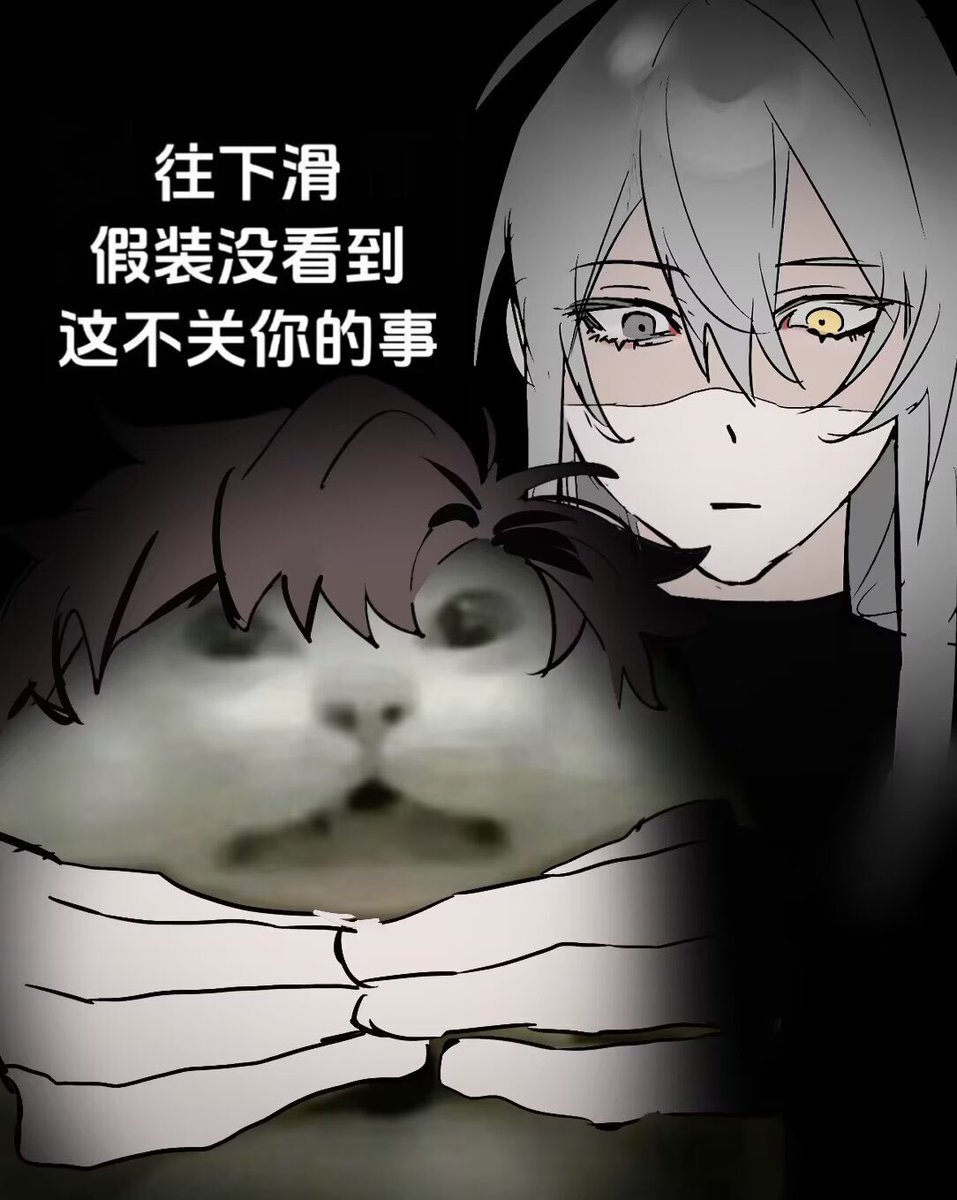 酵母目瑙 tweet media