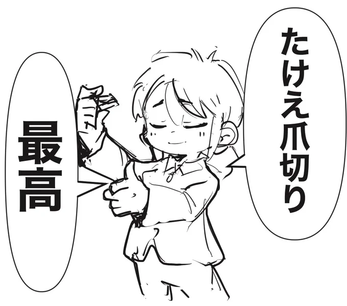 バキバキ乾燥してると爪切る時痛くて辛かったから、
試しに高い爪切り買ったら全然痛くなかったの図 