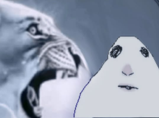 0xCoochie tweet media