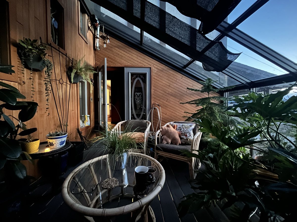 michelle d tweet media