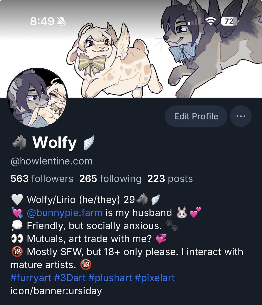 Wolfy🐺🪽 tweet media