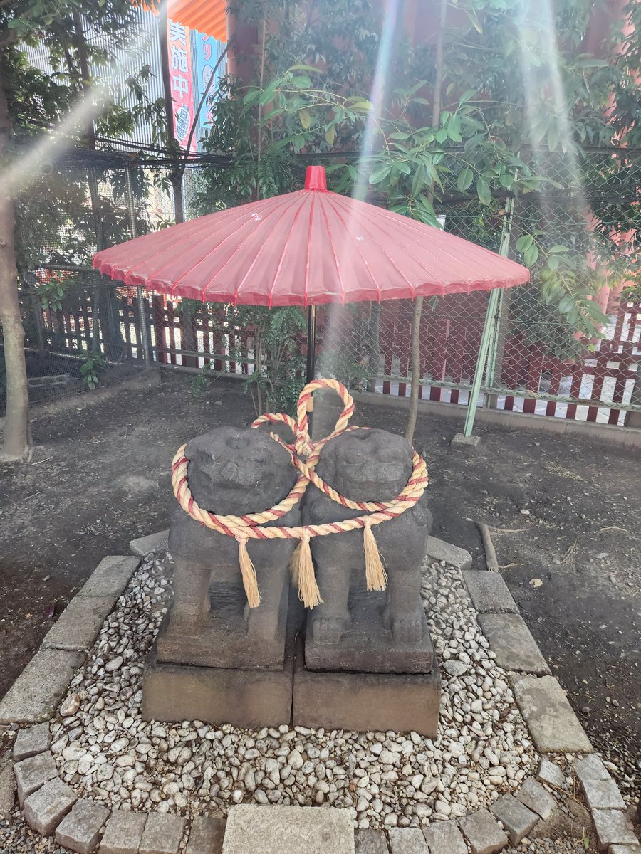 juncoranran's tweet photo. 大好きな浅草神社へご挨拶⛩️
外国人観光客でいっぱい👀‼️
お久し振りの夫婦狛犬は変わらず可愛い❤ https://t.co/YOy92Fge7H