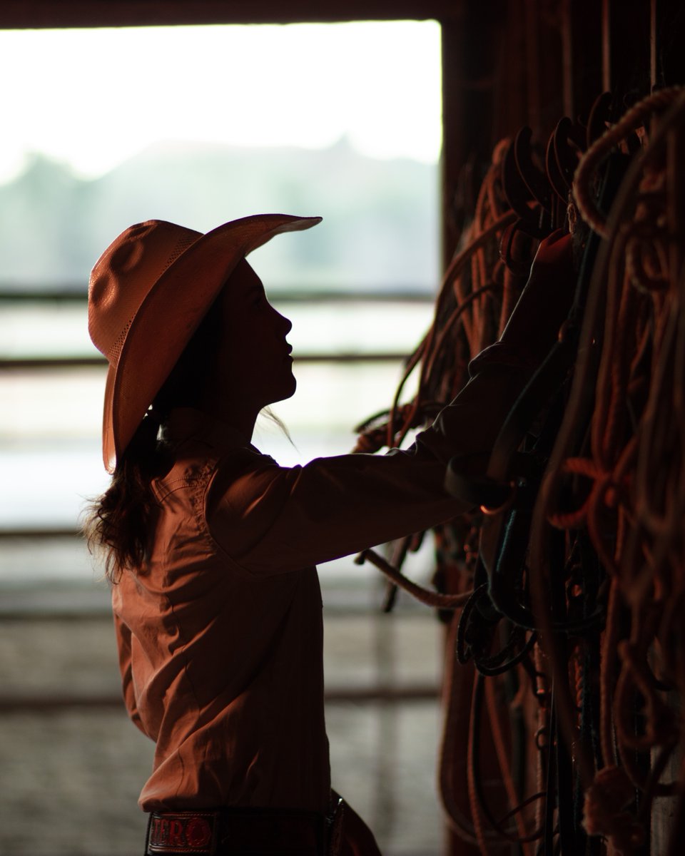 Beef. It's What's For Dinner. tweet media