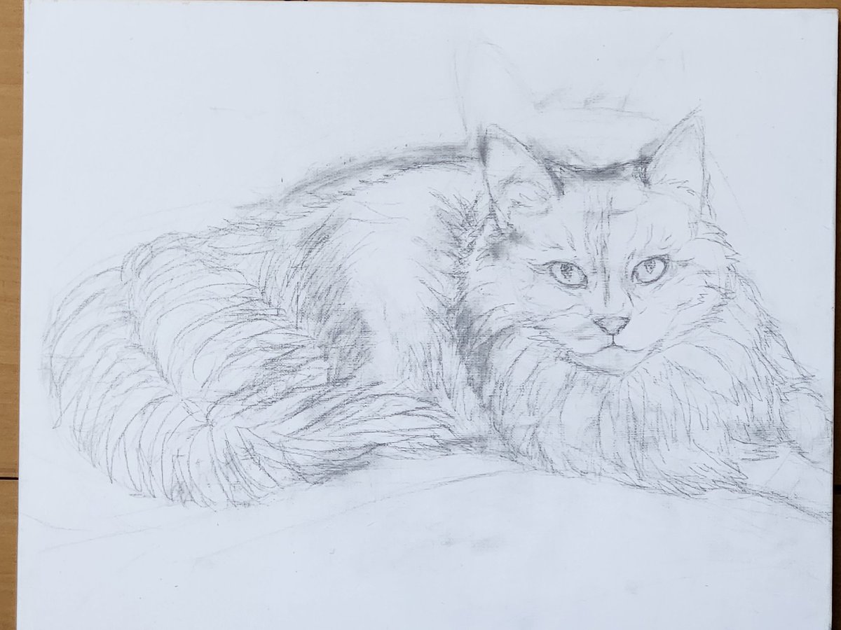 HOKDOM(Jungsuk Lee) tweet media