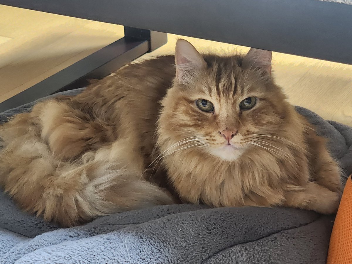 HOKDOM(Jungsuk Lee) tweet media