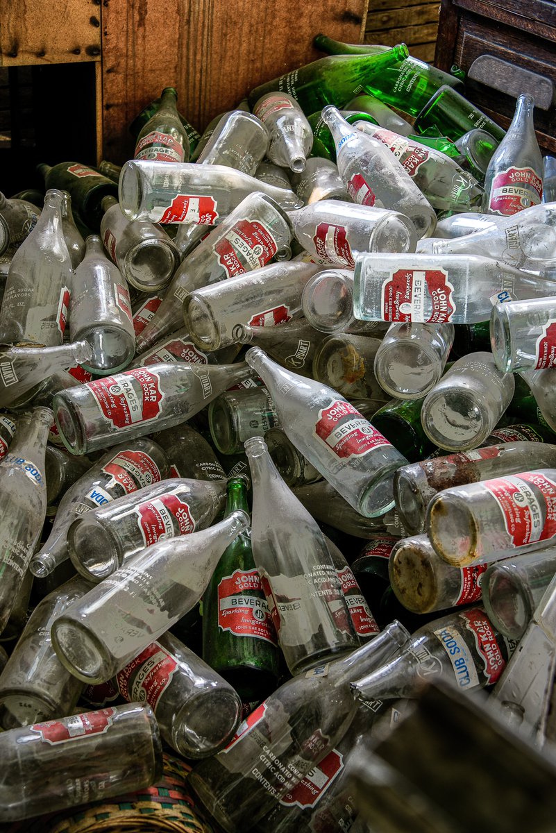 Mr. P. Explores tweet media