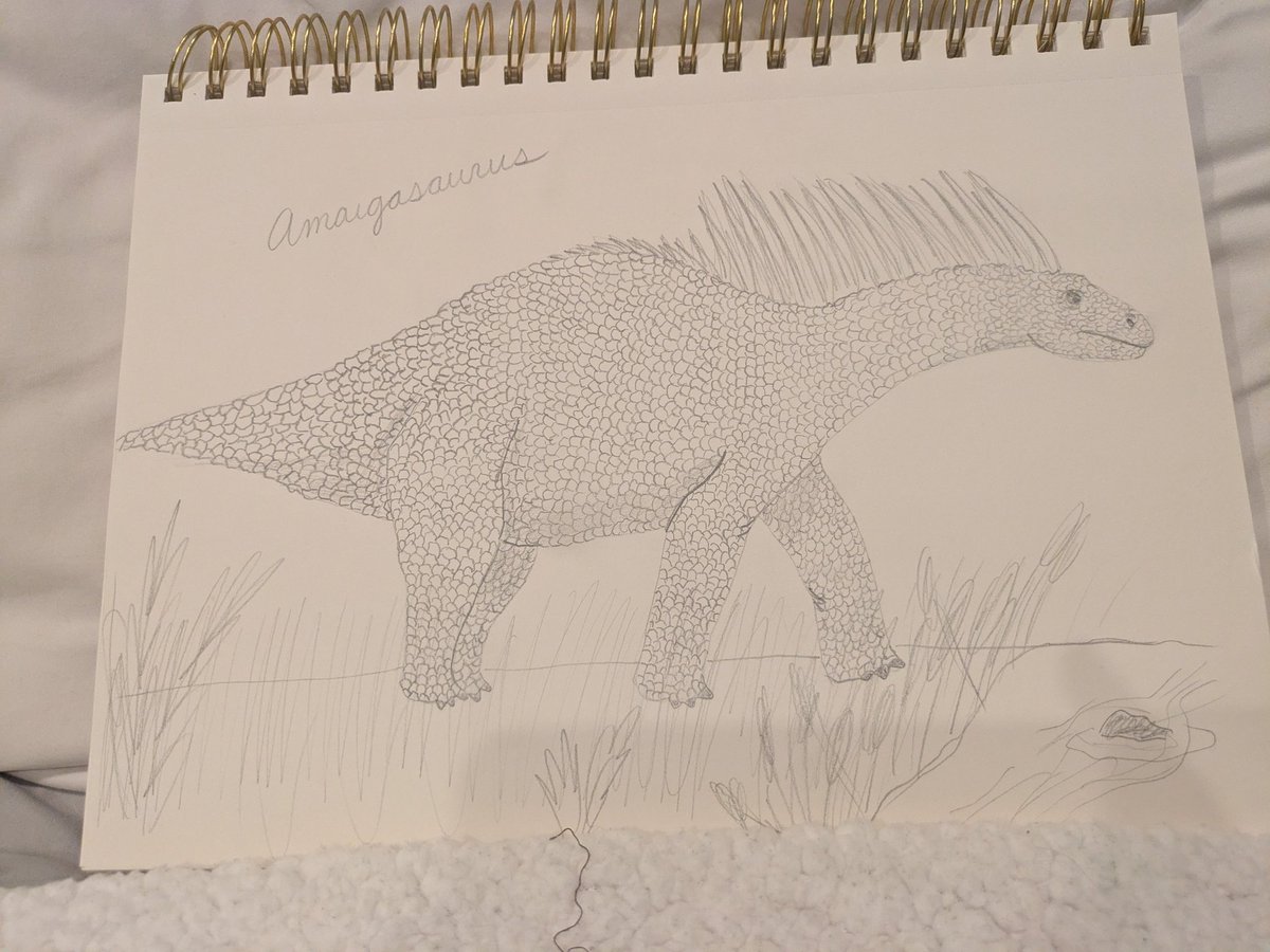 Patricia Correll tweet media