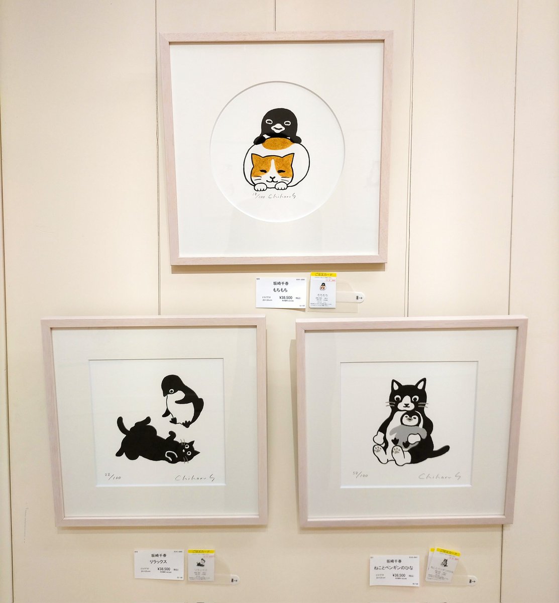 展示作品のご紹介》 『ペンギンとねこ』シリーズから。 「もちもち 展示作品のご紹介》 『ペンギンとねこ』シリーズから。 「もちもち