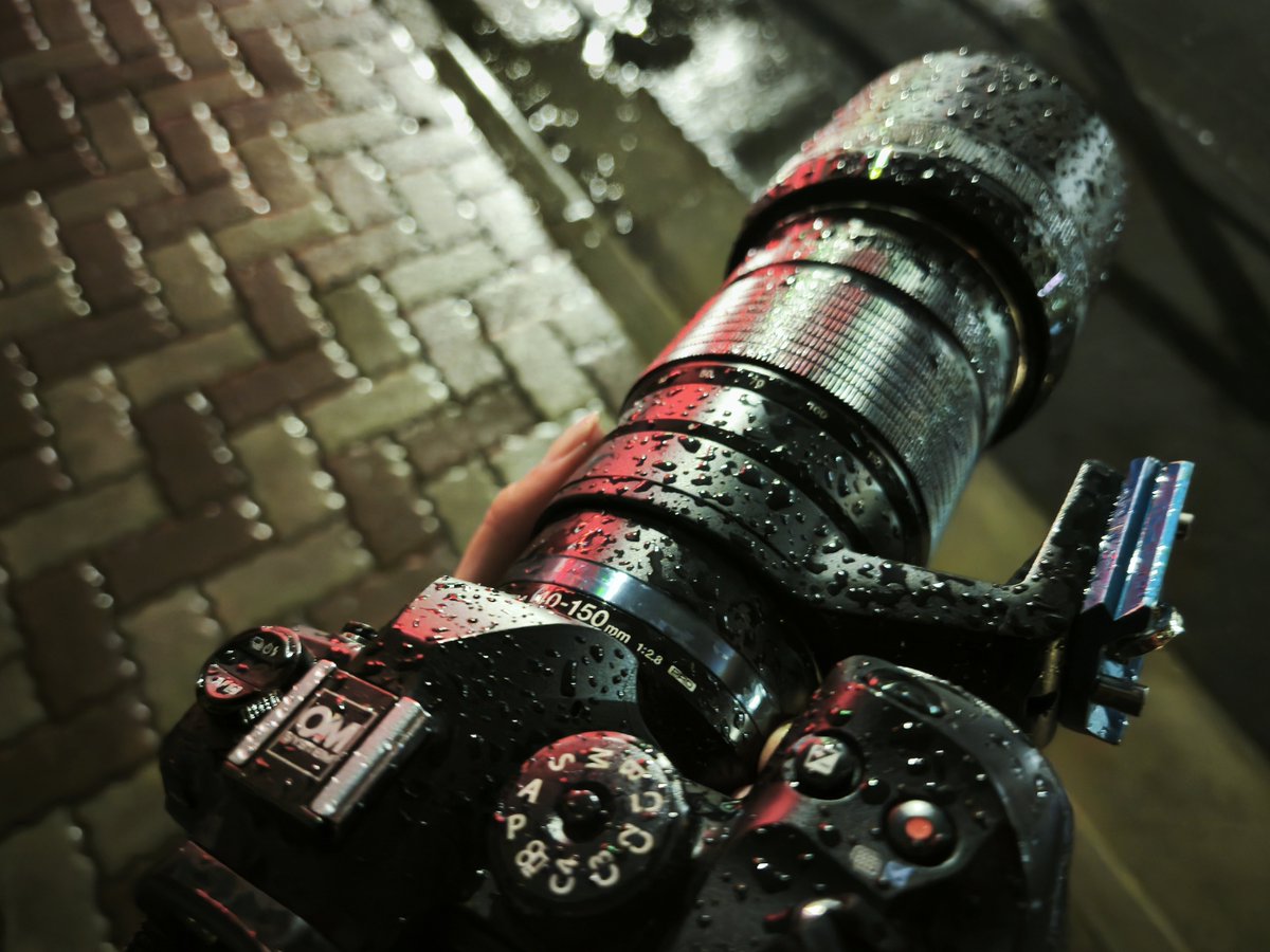 OGIZARU_おぎざる_ (@ogizaru_tob8000) / Posts / X