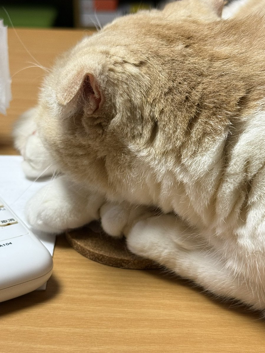 Yumi Asai tweet media