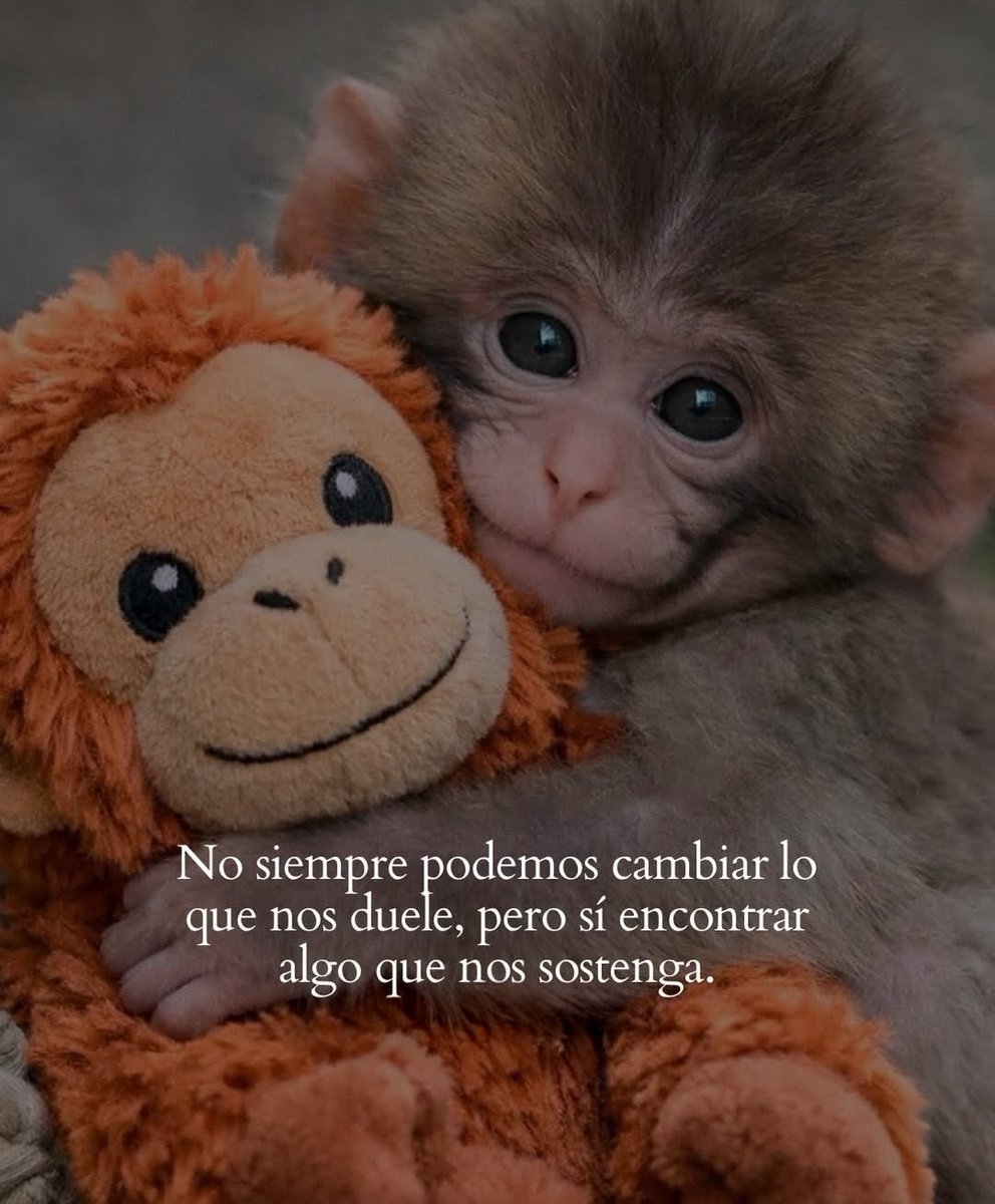 𝕷𝖆 𝕯𝖆𝖒𝖎𝖙𝖆🫦 tweet media