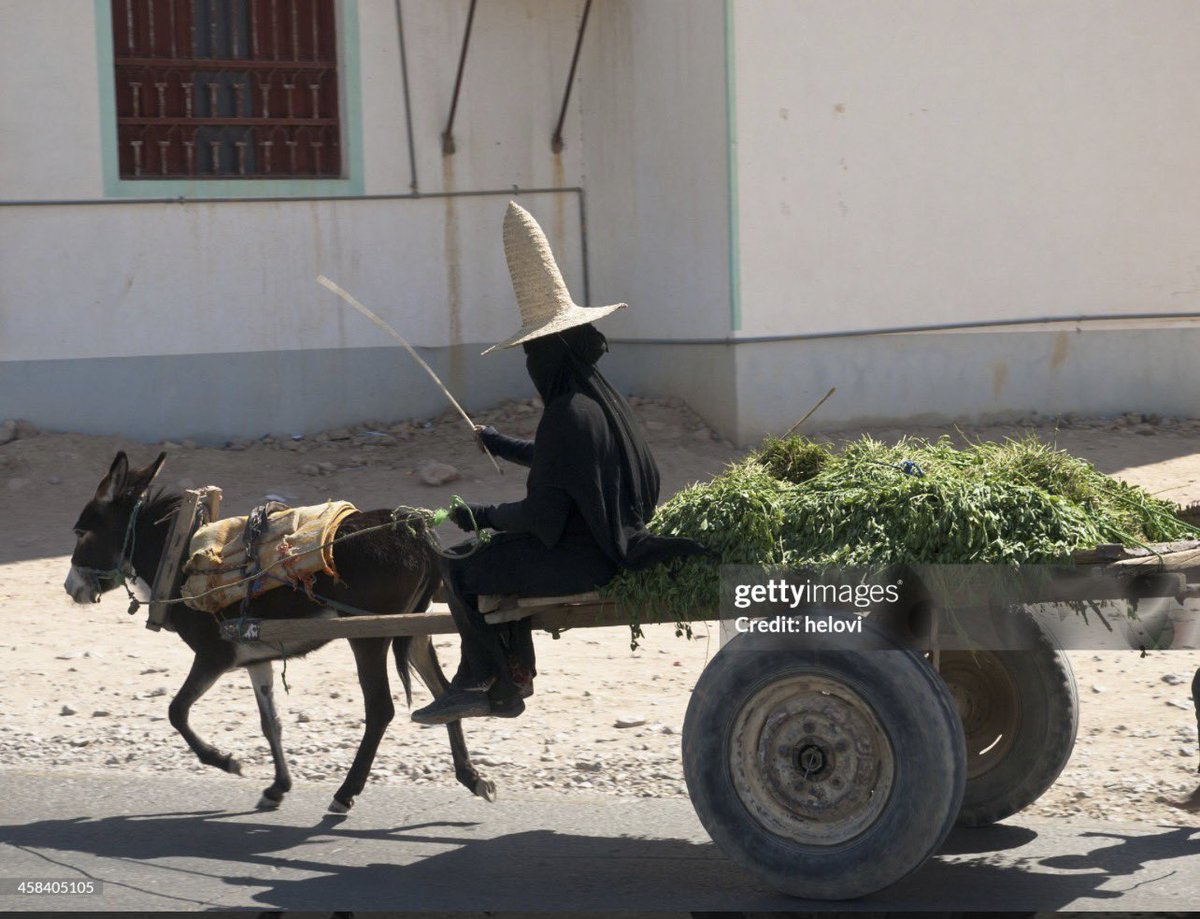 Bilqis AbuOsba tweet media