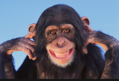 Good looking female humanoid robots could bait rapists in bad neighborhoods into assault, and get BUSTED