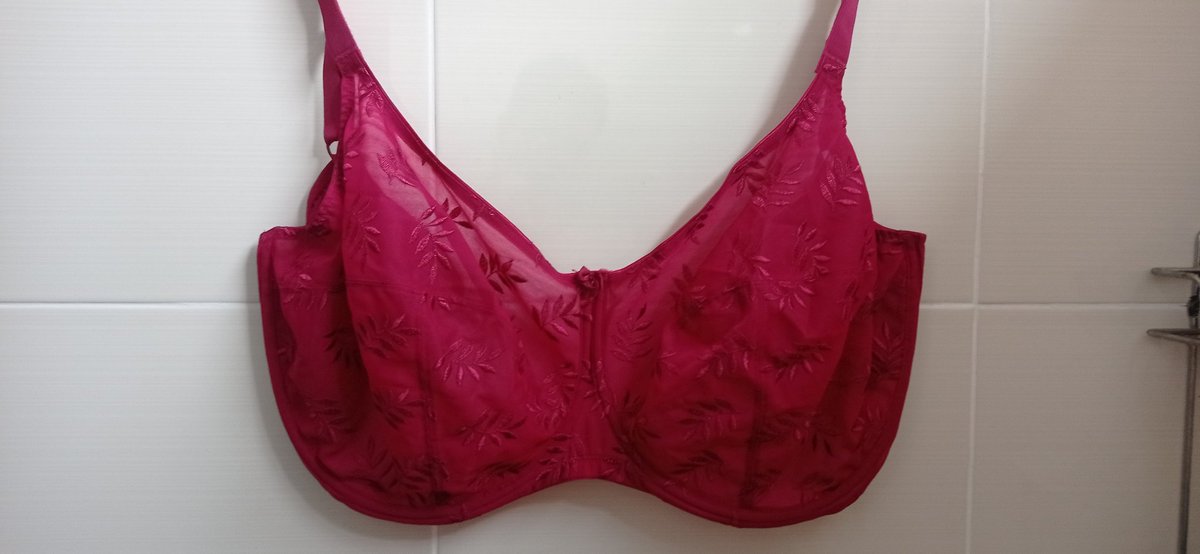 JacobLocsta's tweet photo. my fav bra. 42J https://t.co/ZkR0KjUYJ1