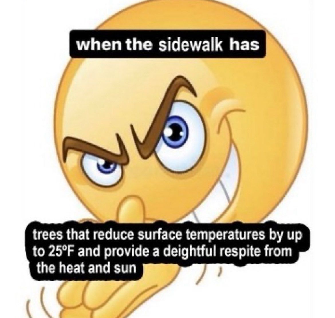 horse dentist tweet media