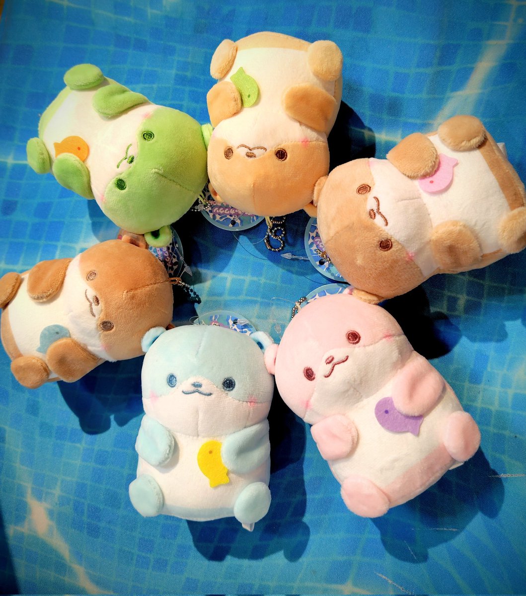shelltentyo's tweet photo. 🌟新商品のご案内🌟

ぽちゃっとぽちゃぽちゃかわいいカワウソ！
ぽちゃちゃカワウソボールチェーン
！
カラフルなカワウソがカラフルなおさかなをギュッ！とってもキュートですね🥰

みんなでお揃いにピッタリアイテムですっ！✨

#シーパラ　#八景島　#水族館 https://t.co/HWNXs1REpM