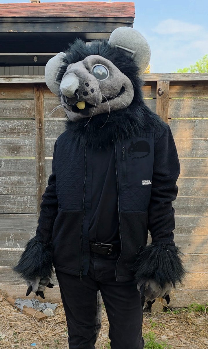 Flea Bag Fursuits tweet media