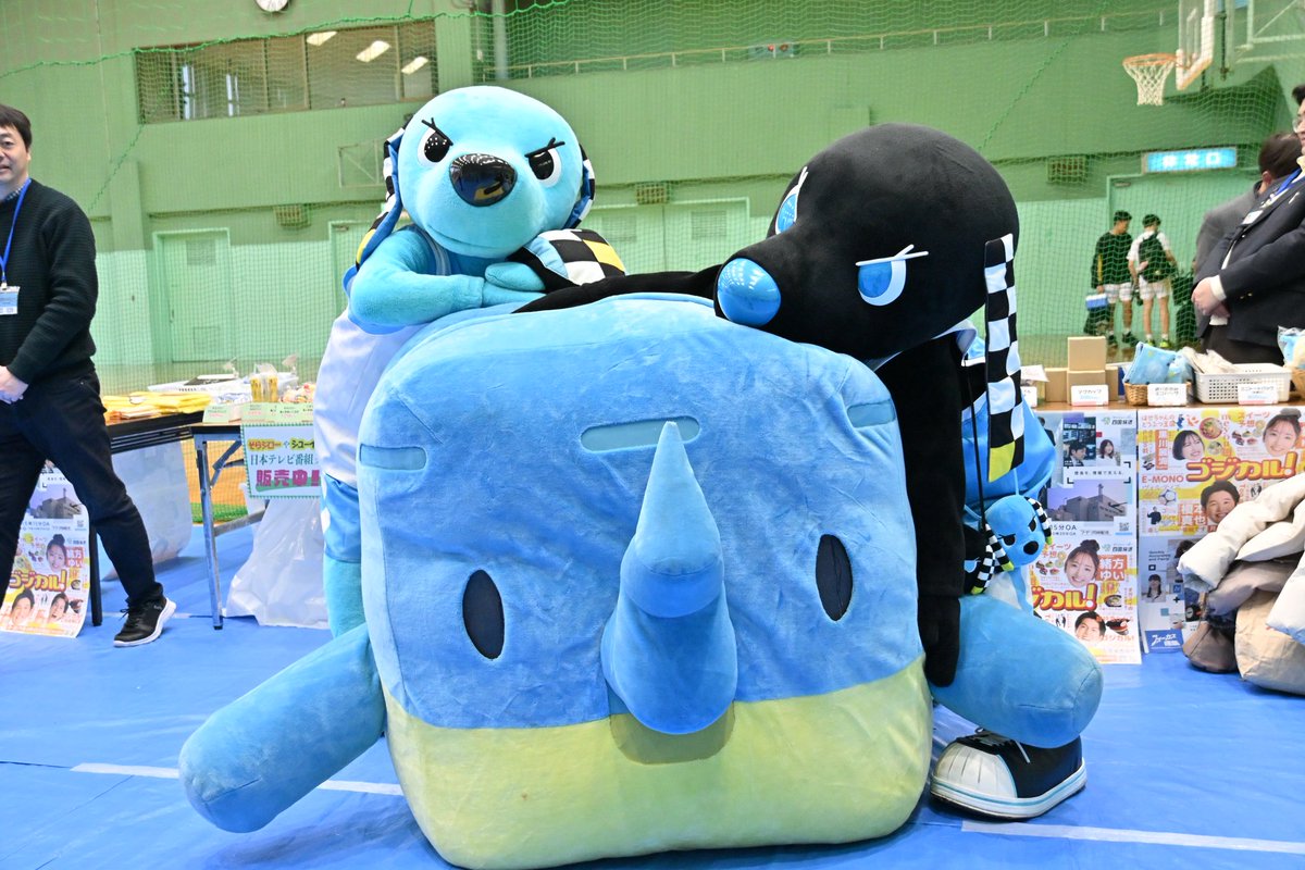 徳島ガンバロウズ【TOKUSHIMA GAMBAROUS】 (@GAMBAROUS) / Posts / X