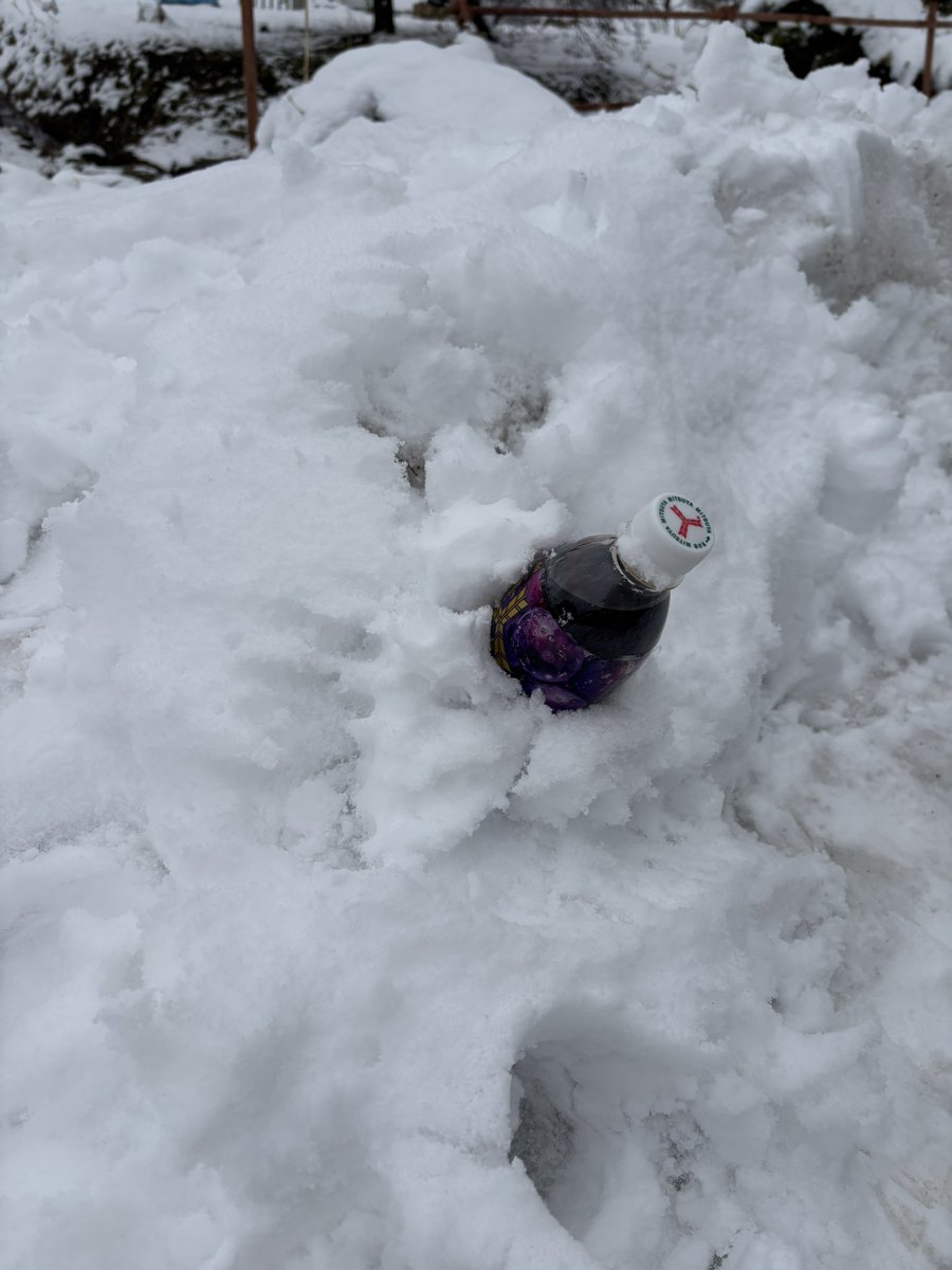 ☃️積もったから弟と雪合戦いっぱいしたよー😆

自然の冷蔵庫でジュース🍹冷やしてるから飲むの楽しみ😋

#ちぃたんぼんばーずOSK
#チームK
#桜羽りおな