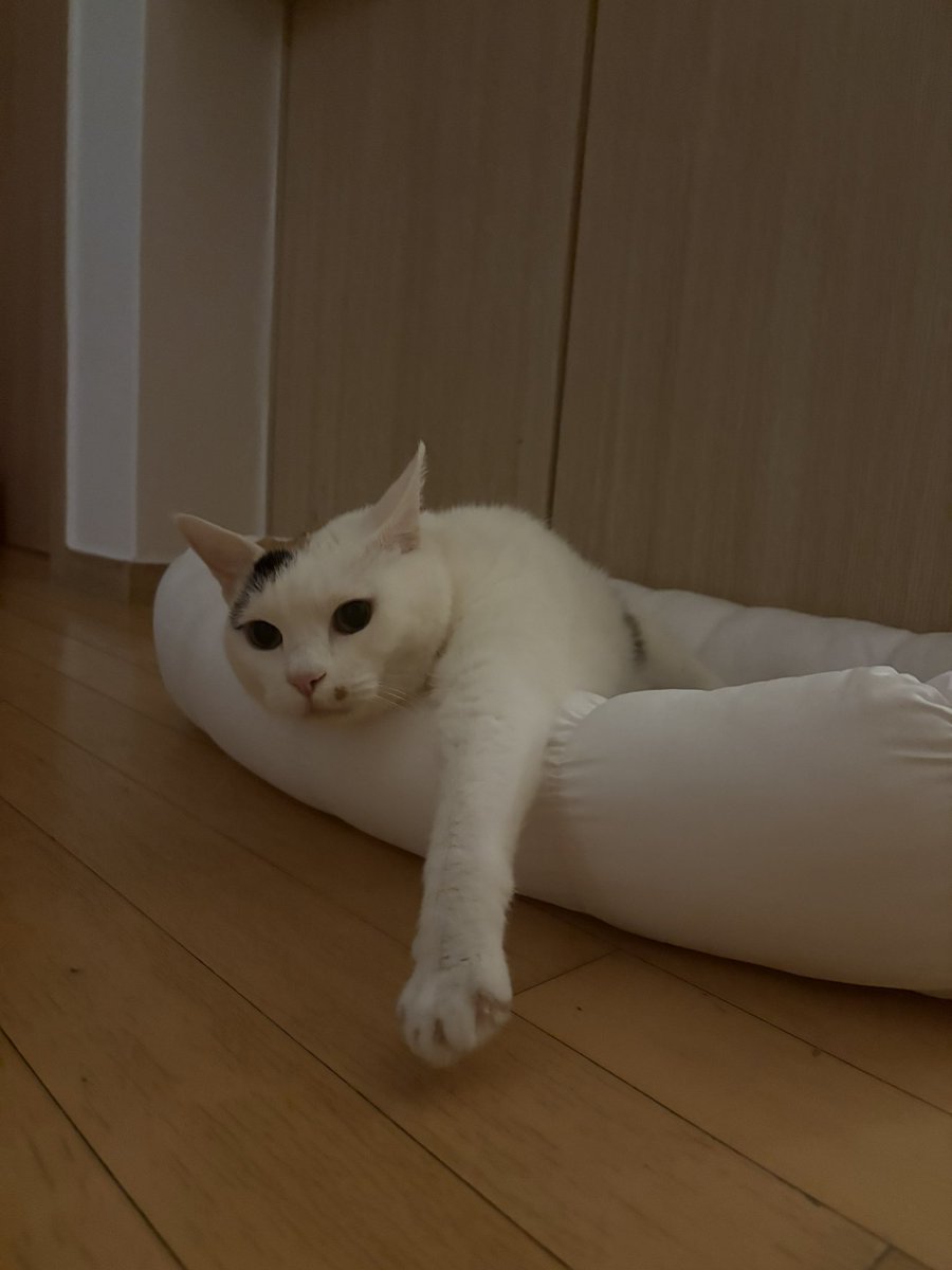 꿀떡이 tweet media