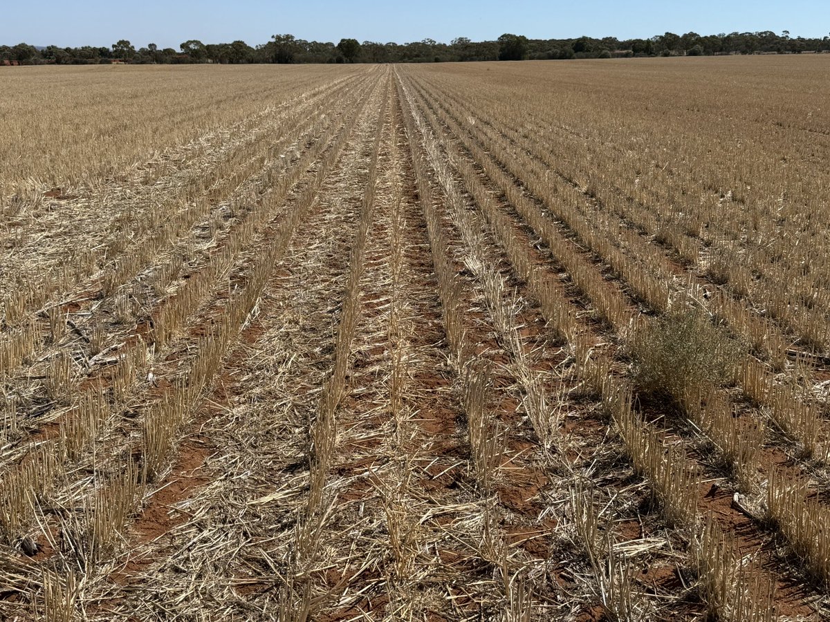 Barry Haskins tweet media