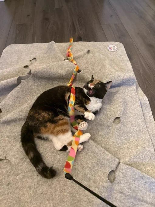sitter took perhaps The best photo of Olive yet