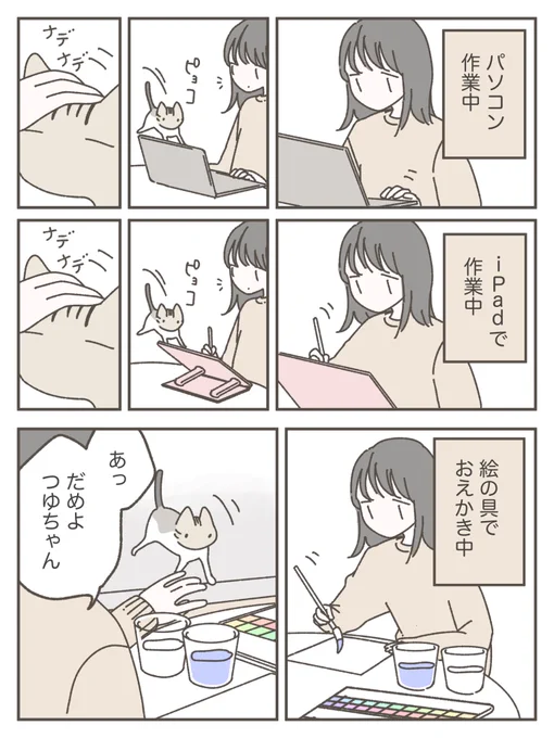 なんて賢い猫ちゃんなんでしょう 