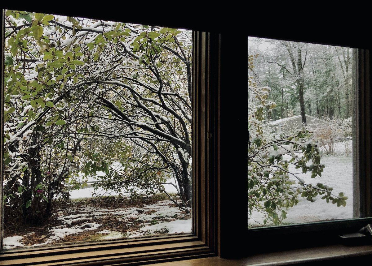 iimura_kazuhiko's tweet image. Spring still seems far off
#snowfall #Amherst #MA 
#春はまだ先のよう