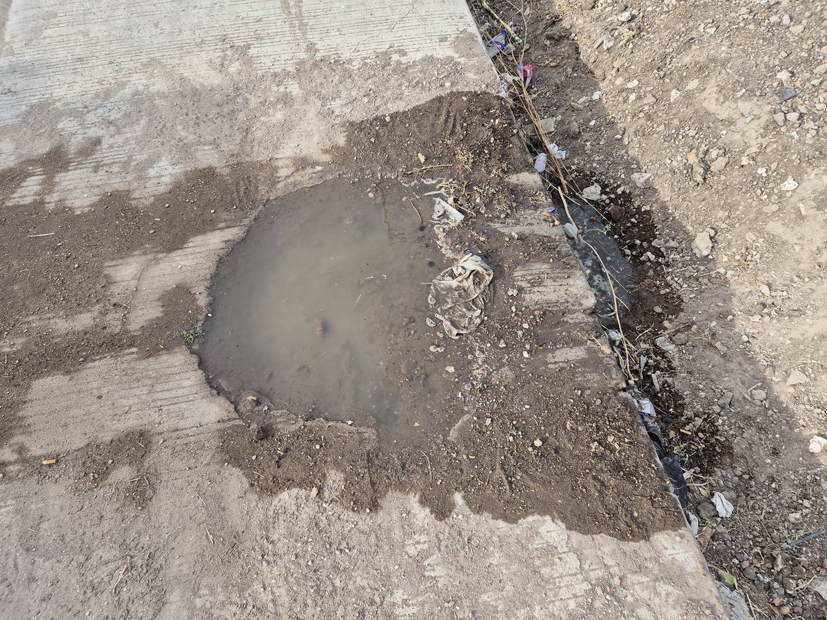 PPabloeas's tweet photo. @josejoseantonio @spublicos_dgo @DurangoCap solicit apoyo en frac Geraldine calle Fuerteventura 426 son aguas negras y muy fétidas, ayúdenos para que no se genere un foco de infección, hay heces fecales aparte de acumularse en la zanja  @ZujeyLuna10 @Sallvatoree @heber_noti121ed https://t.co/ibhtriifY9