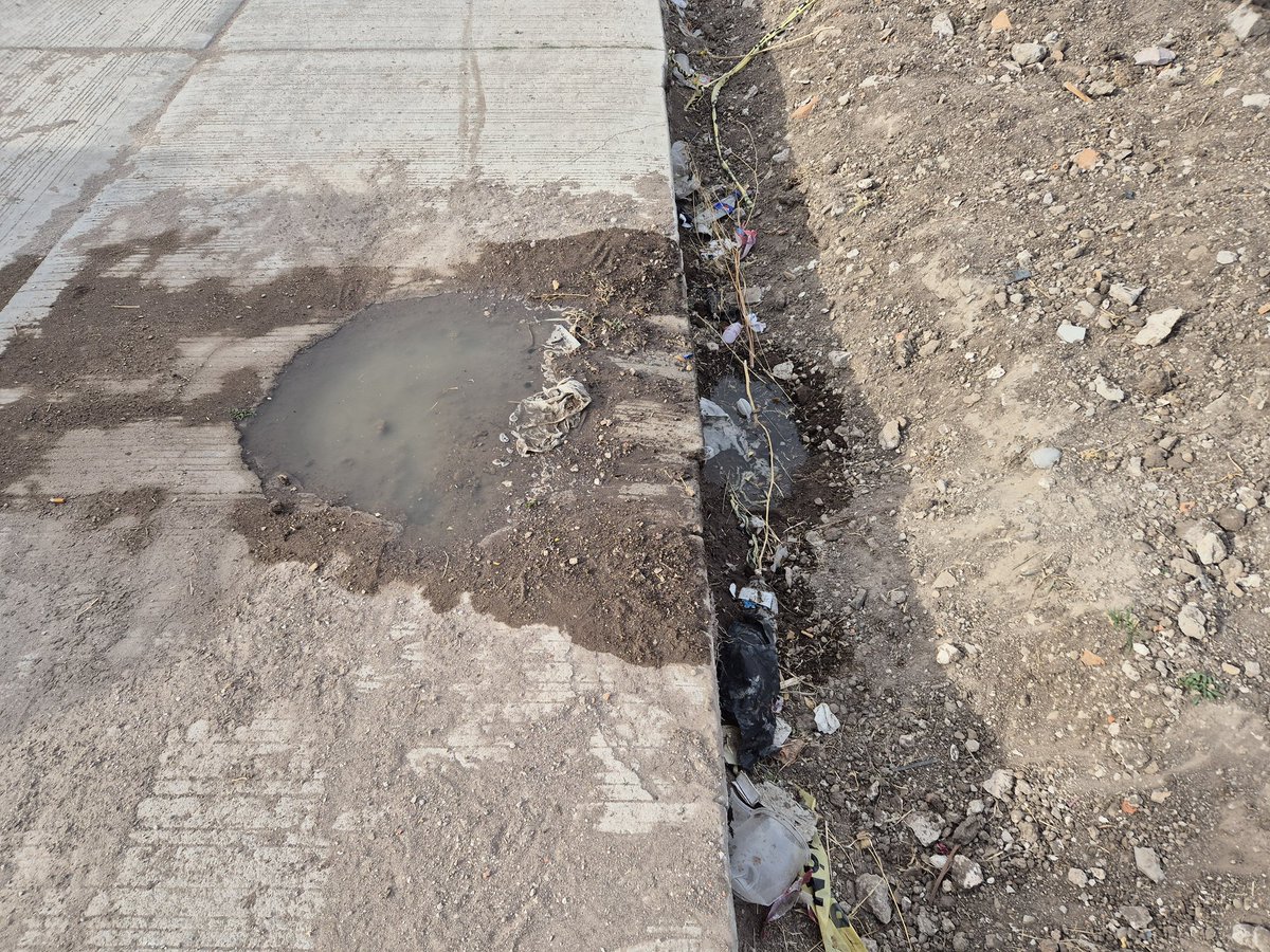PPabloeas's tweet photo. @josejoseantonio @spublicos_dgo @DurangoCap solicit apoyo en frac Geraldine calle Fuerteventura 426 son aguas negras y muy fétidas, ayúdenos para que no se genere un foco de infección, hay heces fecales aparte de acumularse en la zanja  @ZujeyLuna10 @Sallvatoree @heber_noti121ed https://t.co/ibhtriifY9