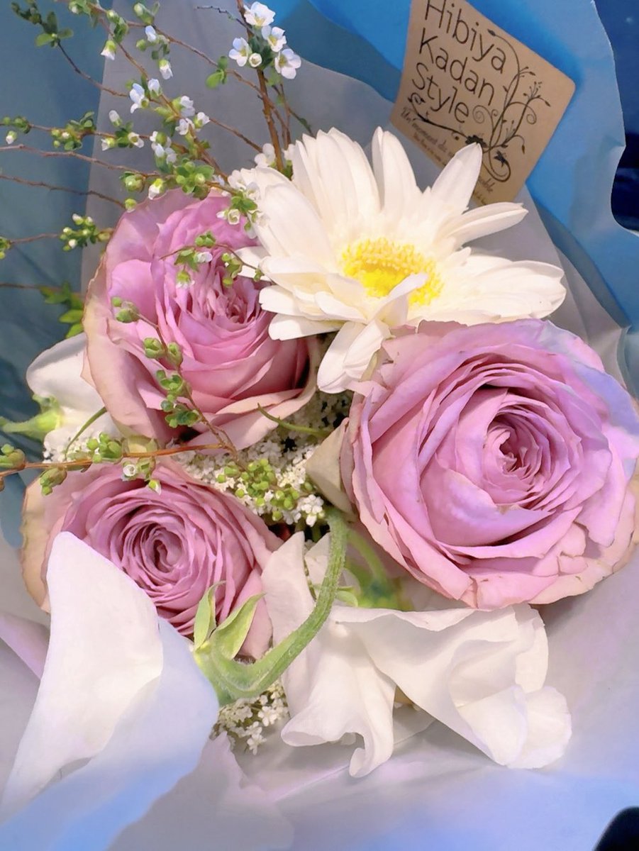 花見 色 tweet media