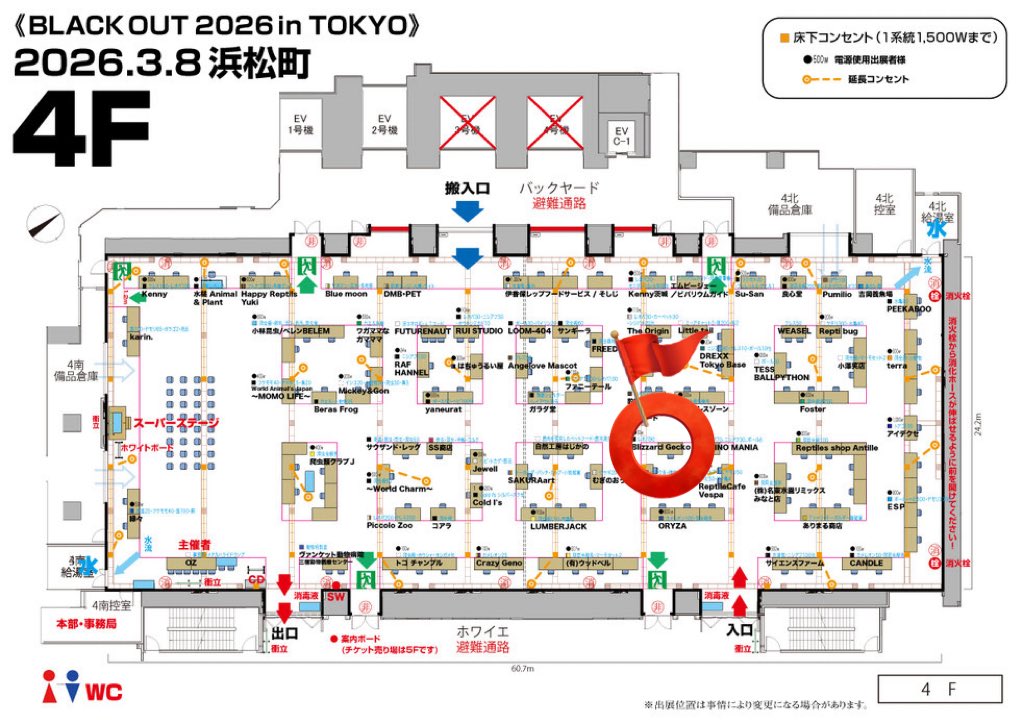 Blizzard Gecko🦎3/8BO tweet media