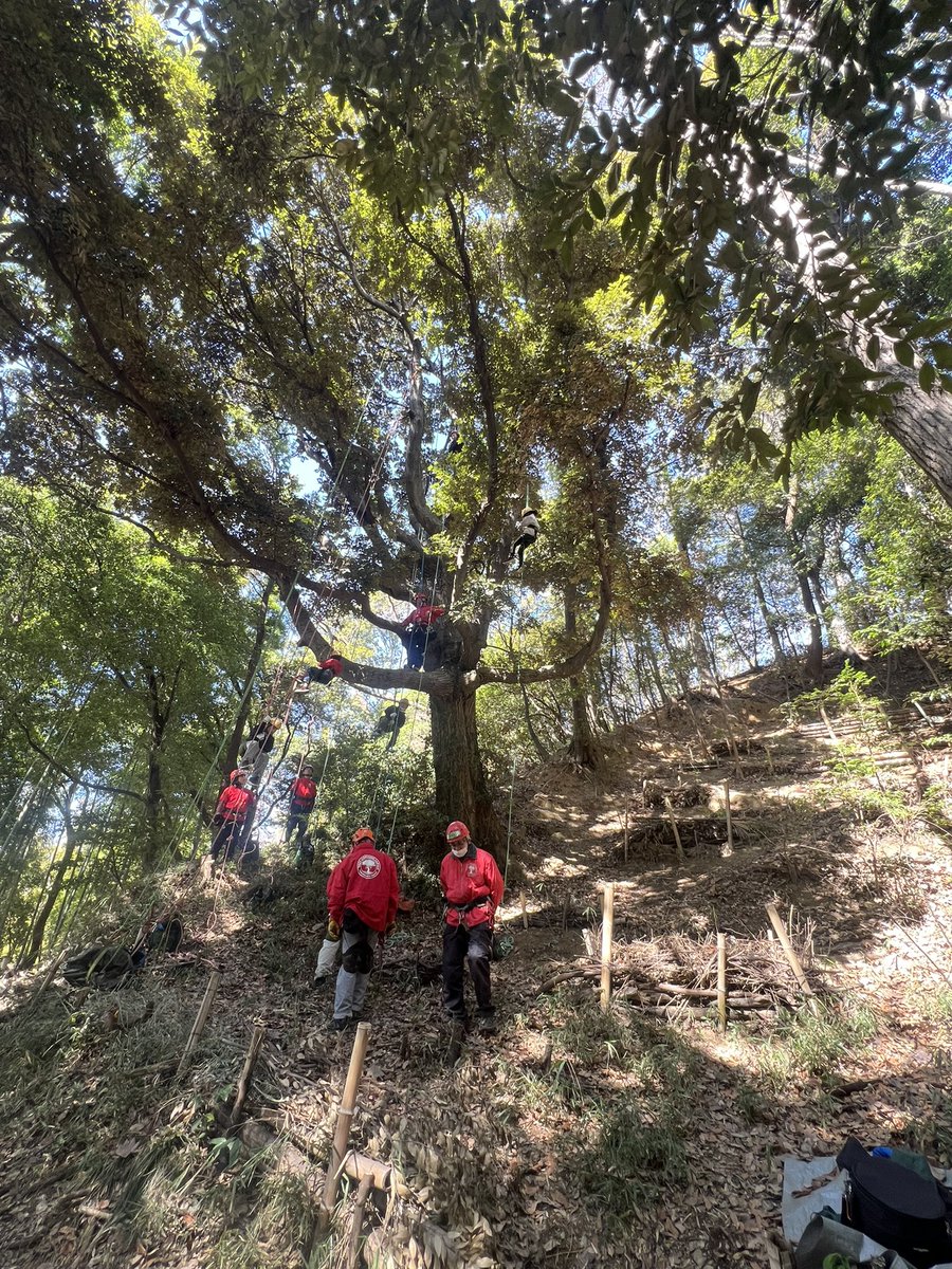 クリーンACT tweet media