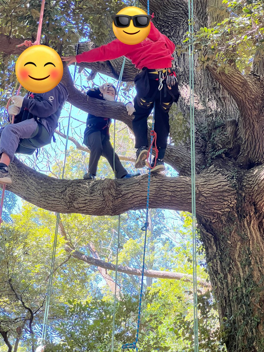 クリーンACT tweet media