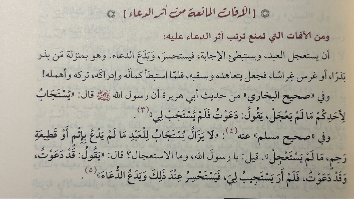 بُشرى tweet media