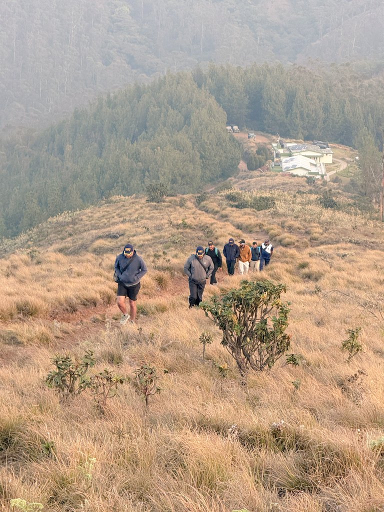 IN_HQSNC's tweet photo. Scaling New Heights, Strengthening Team Spirit ⛰️⚓

As part of Outdoor adventure initiative, Base Victualling Yard, Kochi undertook a #Trekking expedition to Meesapulimala (8,661 ft)—the second highest peak in the Western Ghats, on #07Mar 2026.
 A team of 19 personnel braved challenging terrain to reach the summit, fostering camaraderie, resilience and mutual support.
#FitNavy
 #AdventureSports