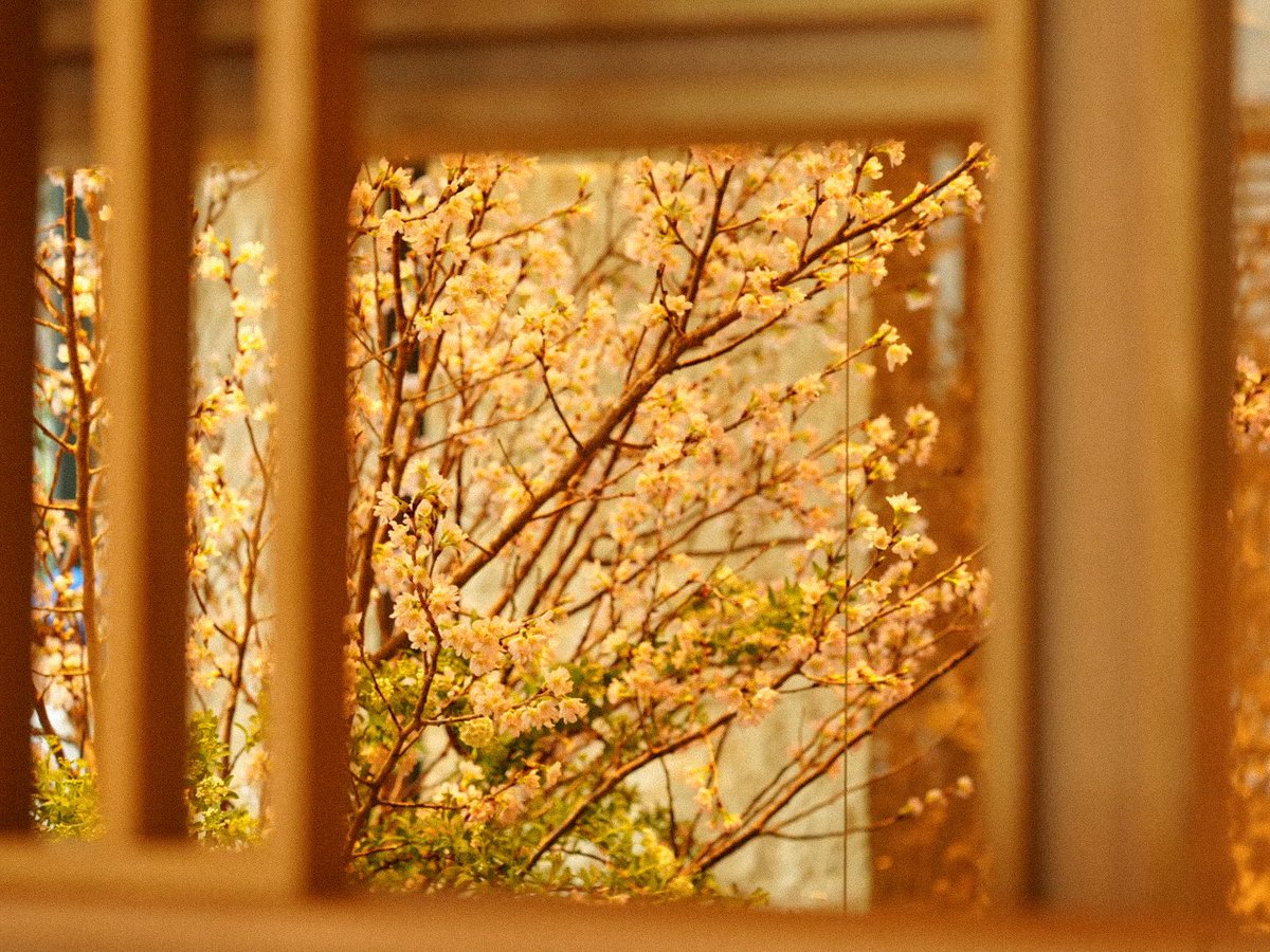 Eri Inoue tweet media