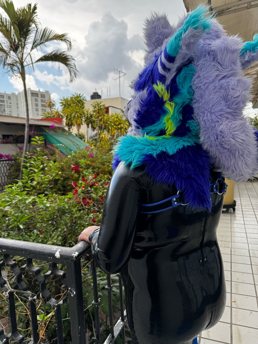 Serclaw1's tweet photo. A photo from last week :3
#SqueakySaturday #rubberfur #LatexFur https://t.co/kPKFP8E7Jn