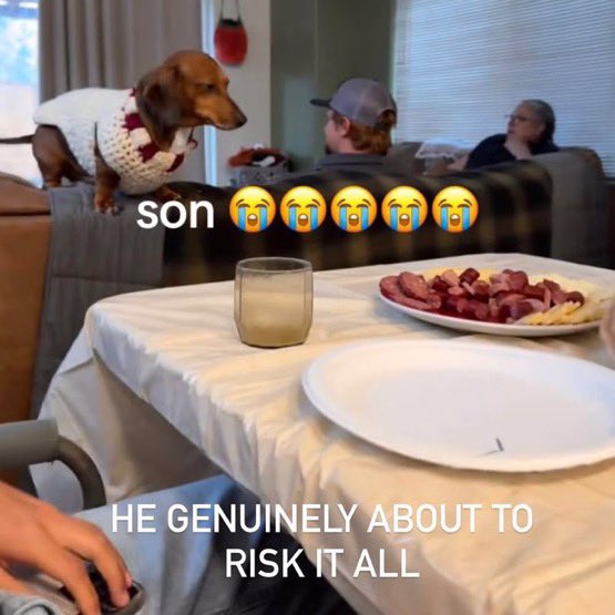 shoobs! ⊹ ࣪ ˖ tweet media