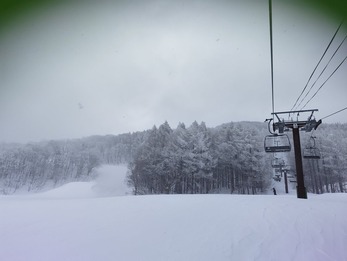 snow_mosu's tweet photo. 完全にスキー日和
そこに雪があればもうスキー日和 https://t.co/bwo5nGKudq
