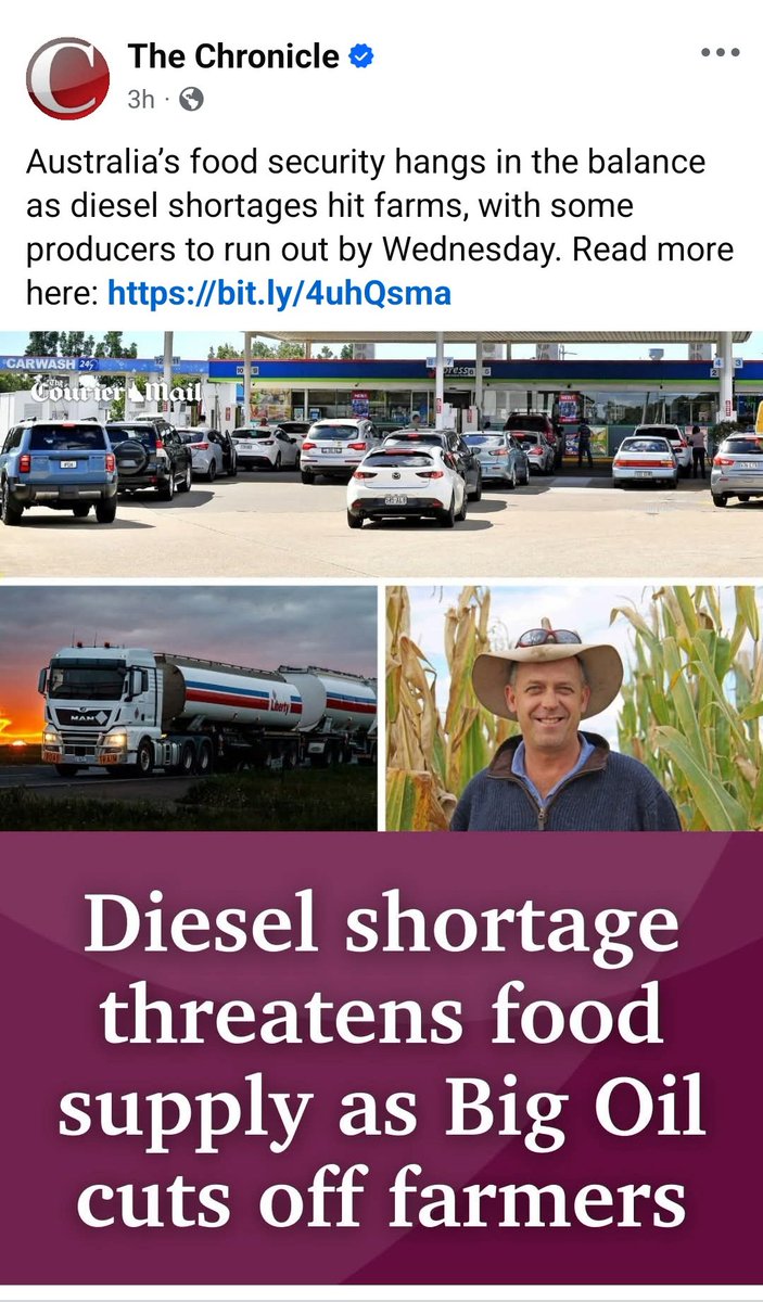 Liza Balmain tweet media