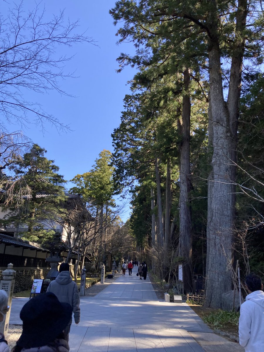 クリフ tweet media