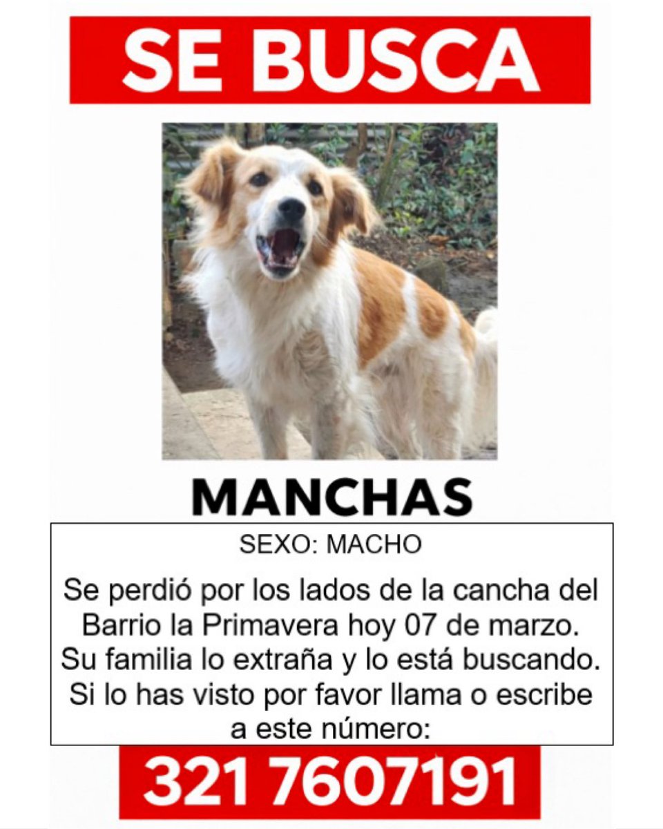 popayanco tweet media