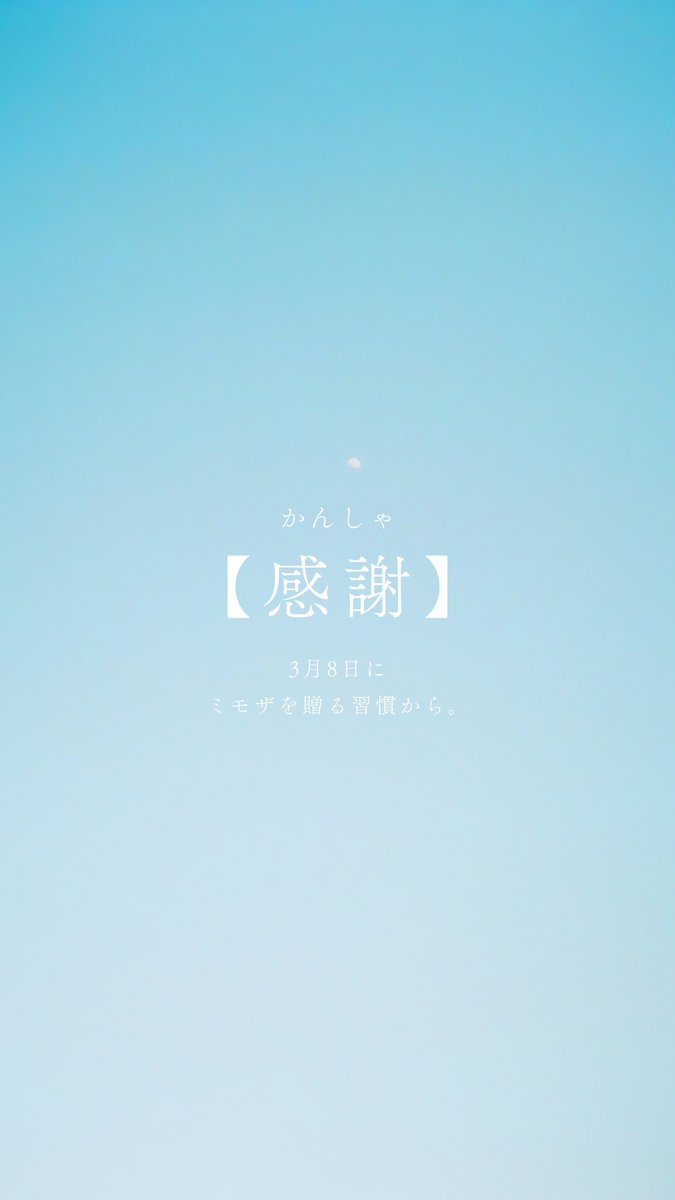 浅夏レイ -言の葉収集家- tweet media