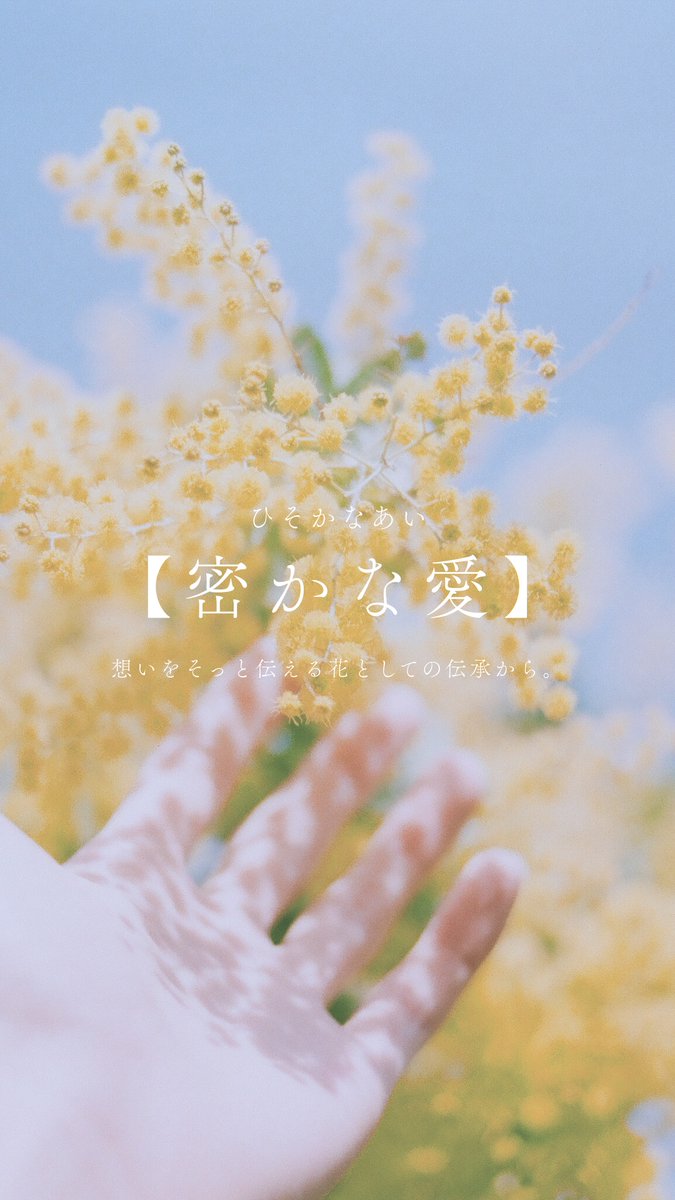 浅夏レイ -言の葉収集家- tweet media