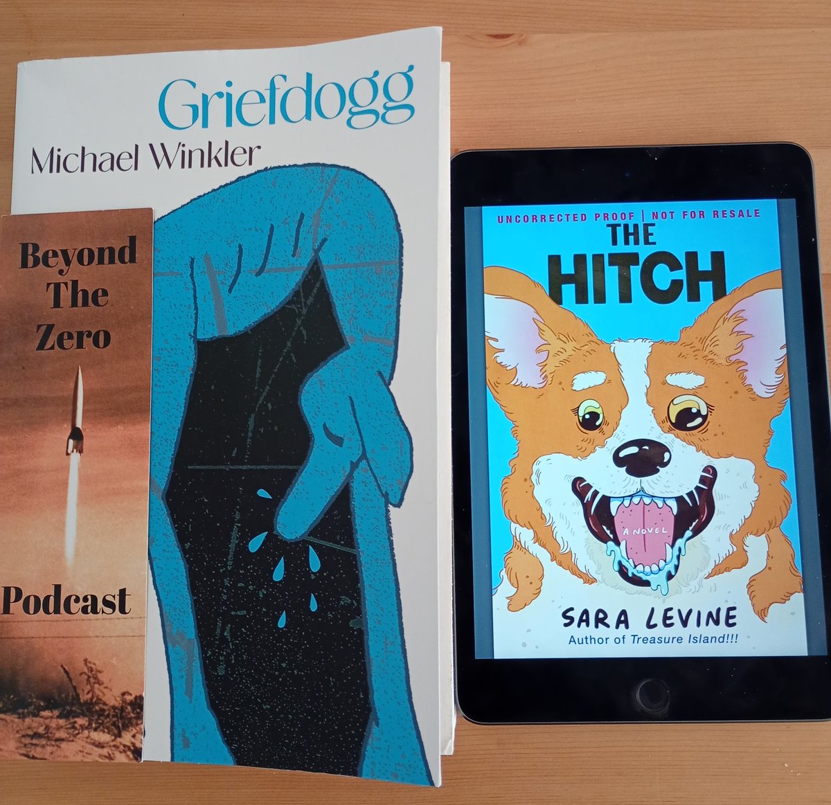 Beyond The Zero Podcast tweet media