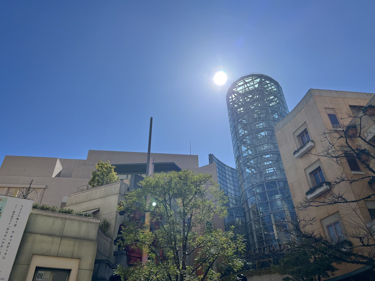 いいも tweet media