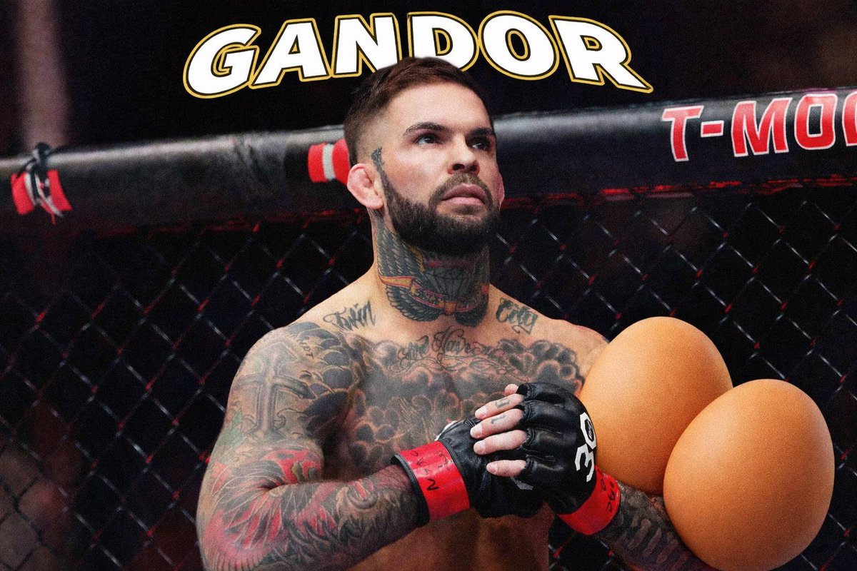 Chelo Picks 🦍 tweet media