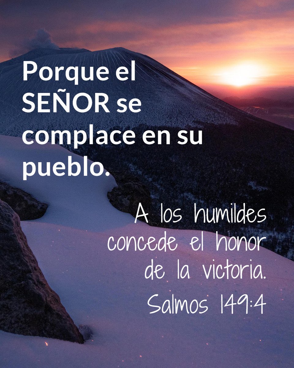 Yenny torres tweet media